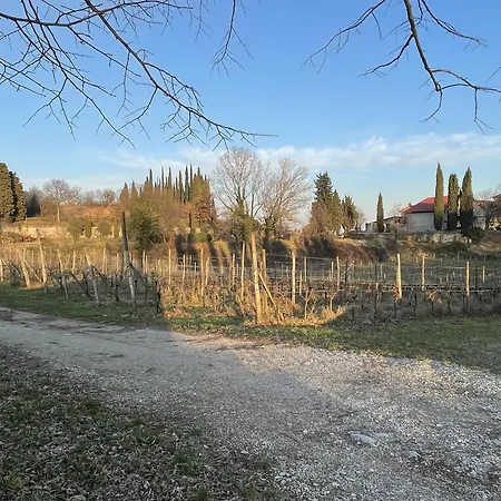 Palazzo Archi 2a Casa vacanze